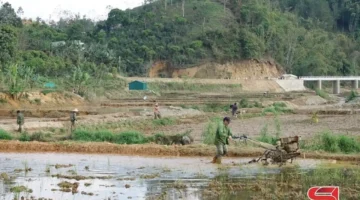 مزارعون يبدأون رحلة زراعة أرز الربيع في الحقول مع تحسن حالة الطقس